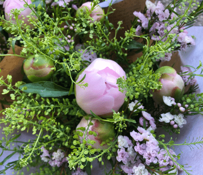 Fleurs de saison - Accueil - Quimper Brest