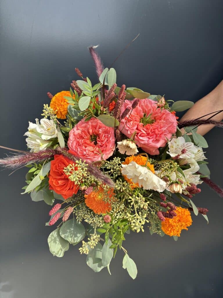 IMG 3981 - Accueil - Quimper Brest