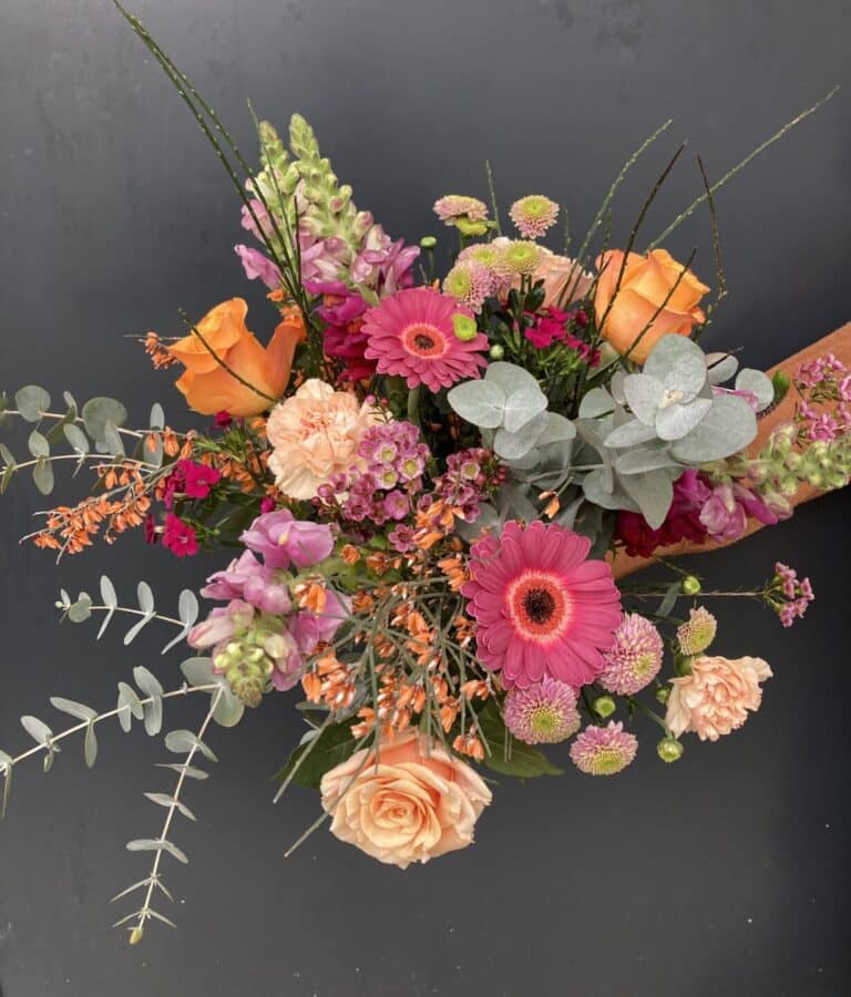 IMG 8849 - Accueil - Quimper Brest