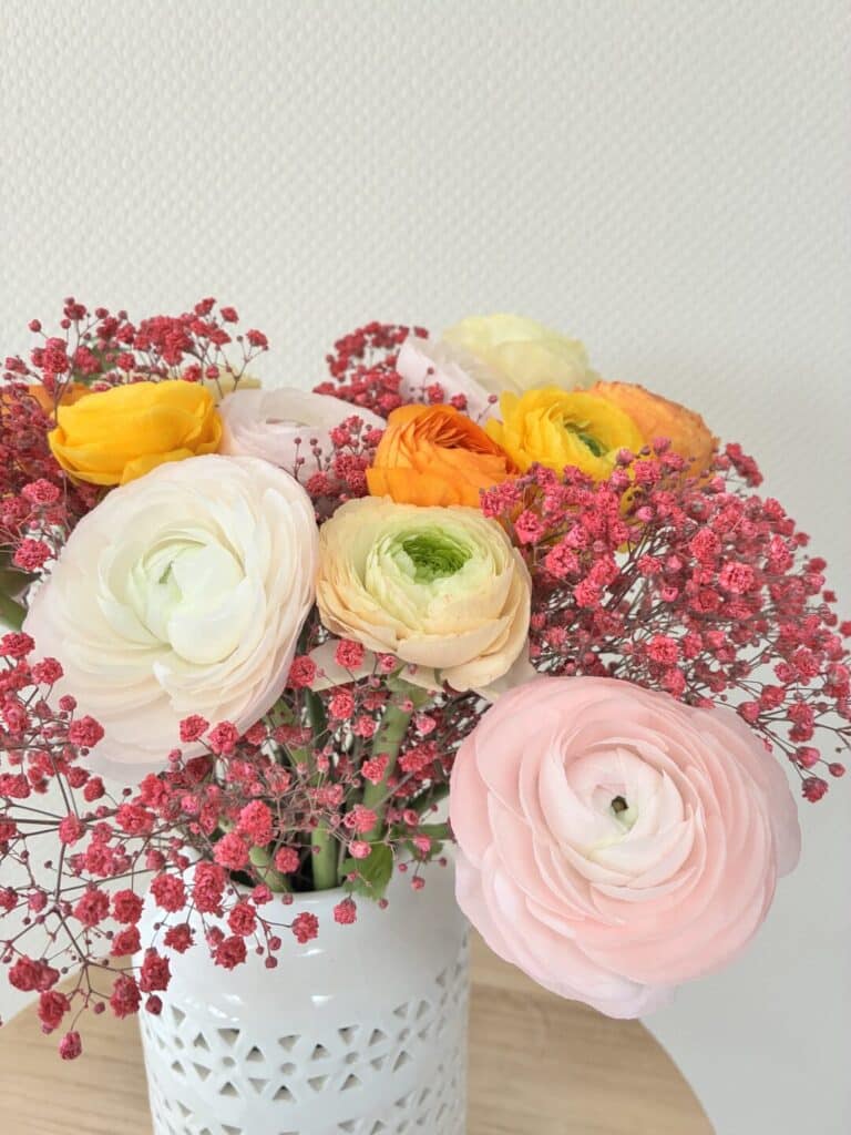 IMG 5607 - Accueil - Quimper Brest